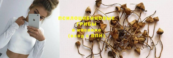 сатива Протвино