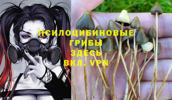 герыч Приозерск