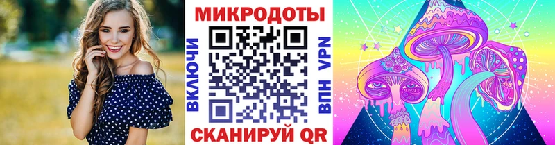 Галлюциногенные грибы Psilocybe Ишимбай